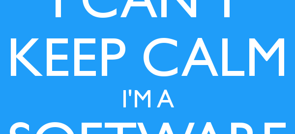 junior software developer