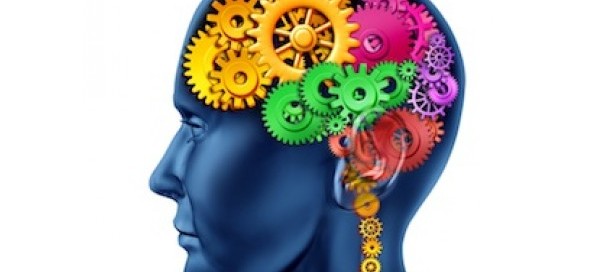 brain cogs