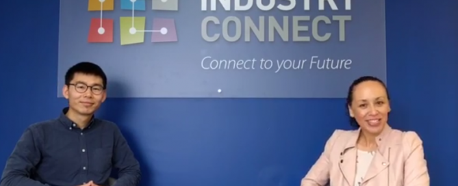 junior software developer job in New Zealand