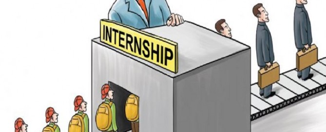 software developer internship