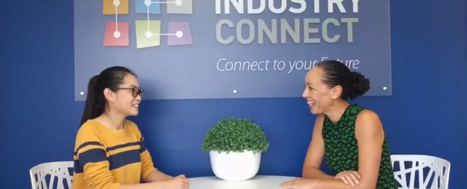 first software developer job