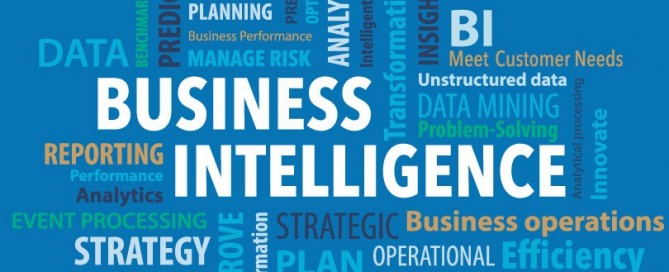 Business intelligence developer