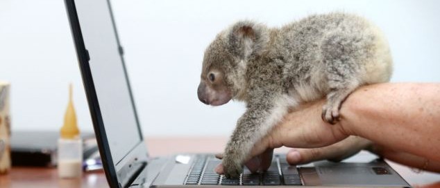 practical software training in australia