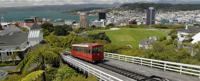 software developer jobs in Wellington