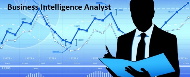 Business Intelligence Analyst