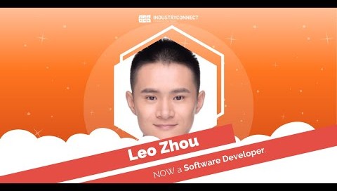 software career