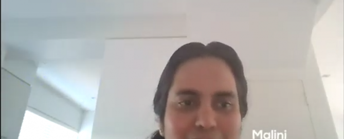 Malini software developer