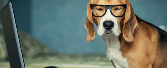 Test analsyt job doggy style