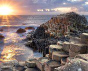 Software Developer Internships in Ireland